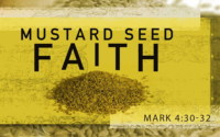 Mustard Seed Faith