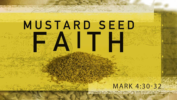 Mustard Seed Faith