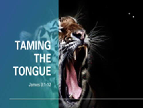 Taming The Tongue