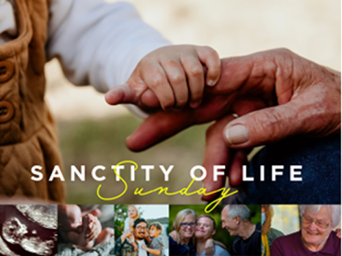 Sanctity of Life Sunday